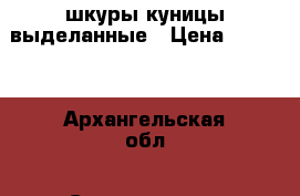 шкуры куницы выделанные › Цена ­ 1 500 - Архангельская обл., Северодвинск г. Охота и рыбалка » Другое   